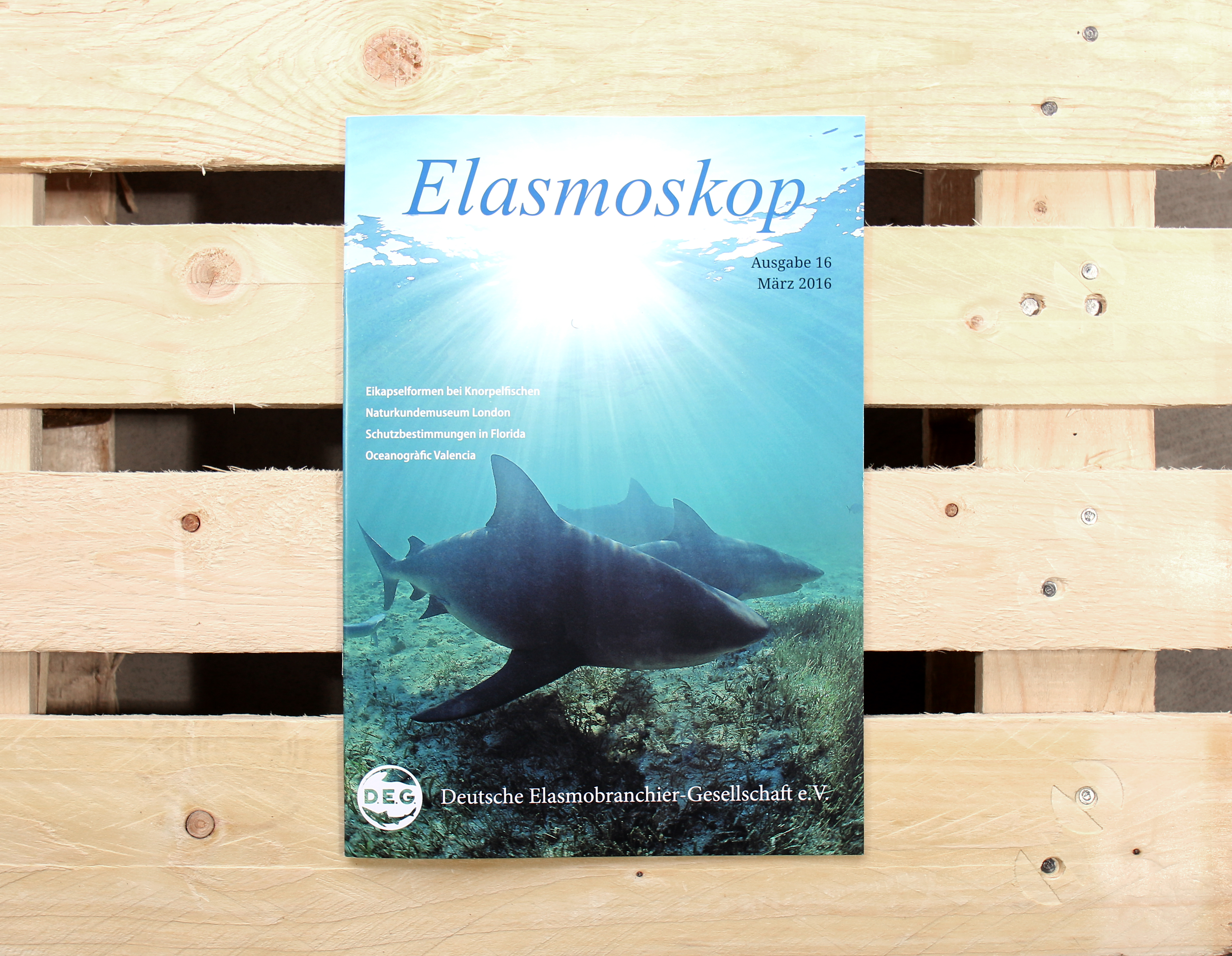 Elasmoskop